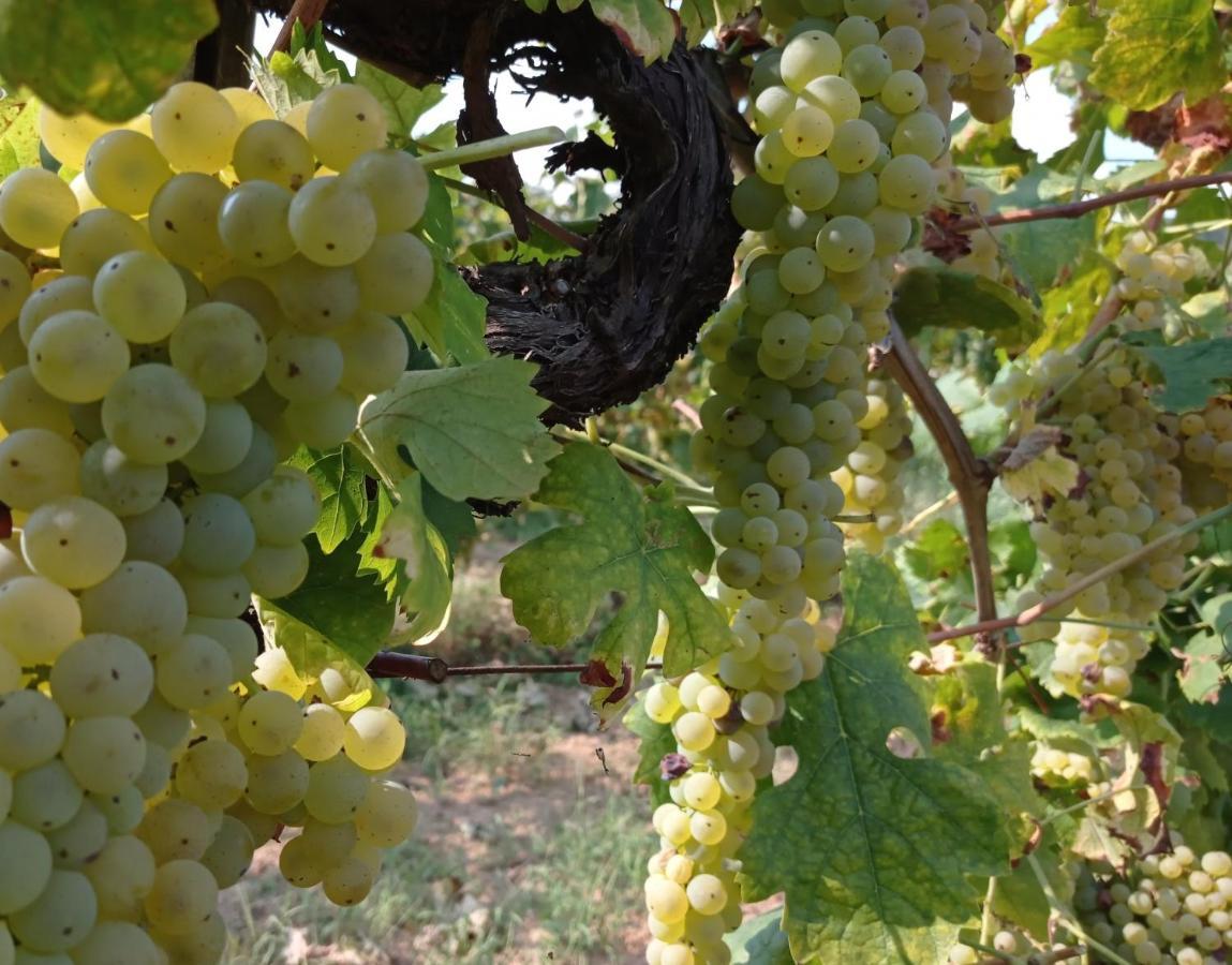 באניי די לוקה Agriturismo Tenuta La Fratta מראה חיצוני תמונה