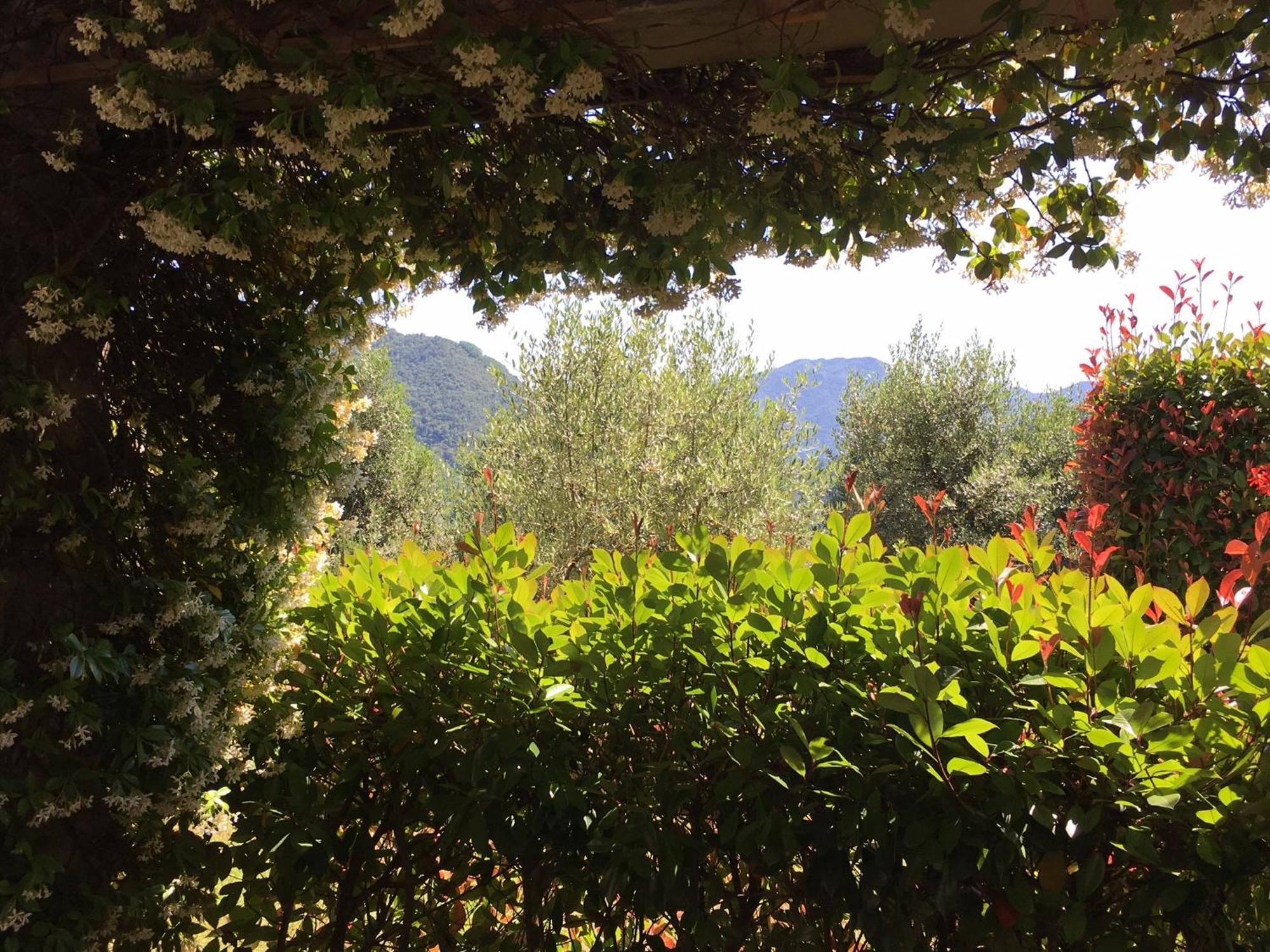 באניי די לוקה Agriturismo Tenuta La Fratta מראה חיצוני תמונה