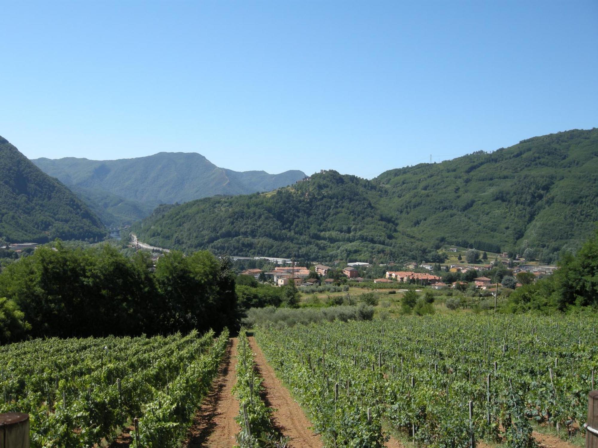 באניי די לוקה Agriturismo Tenuta La Fratta מראה חיצוני תמונה
