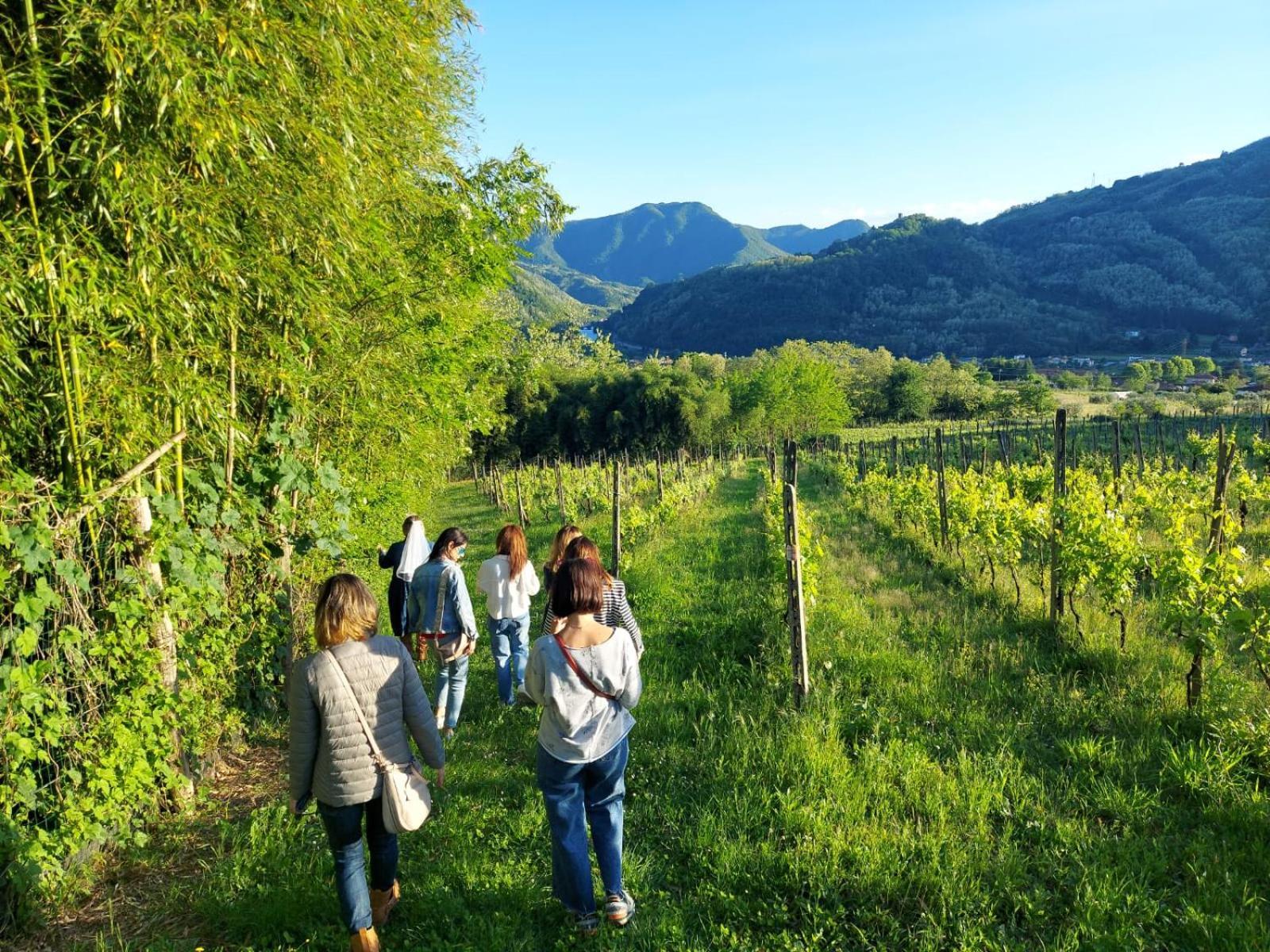 באניי די לוקה Agriturismo Tenuta La Fratta מראה חיצוני תמונה