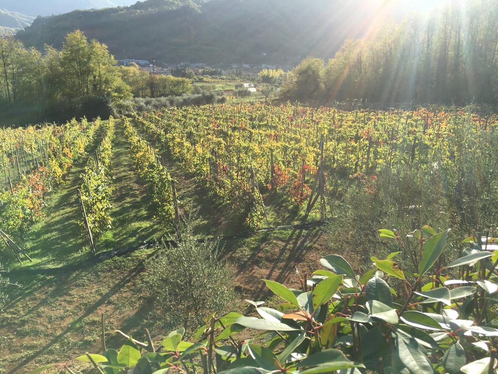 באניי די לוקה Agriturismo Tenuta La Fratta מראה חיצוני תמונה