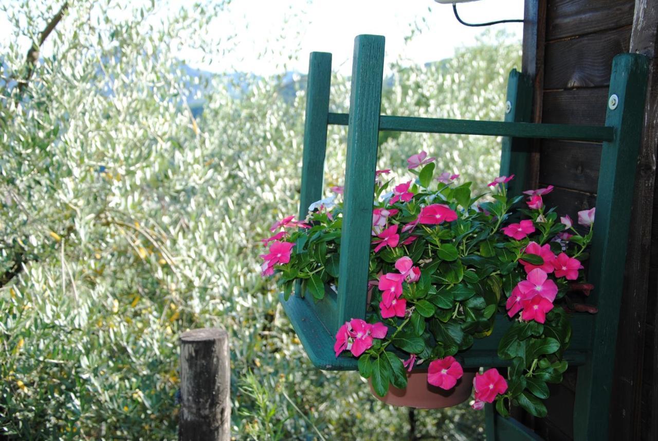 באניי די לוקה Agriturismo Tenuta La Fratta מראה חיצוני תמונה