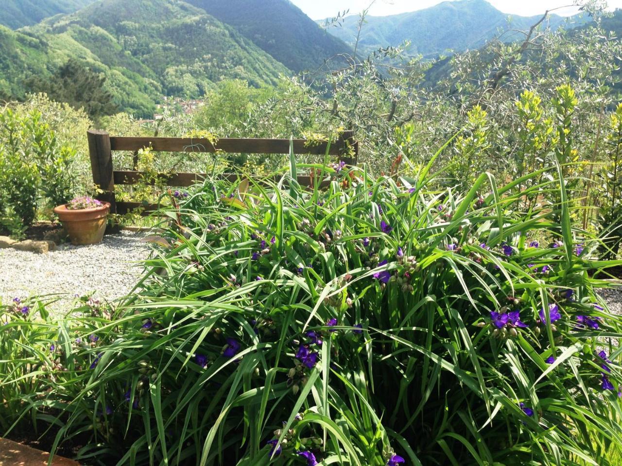 באניי די לוקה Agriturismo Tenuta La Fratta מראה חיצוני תמונה